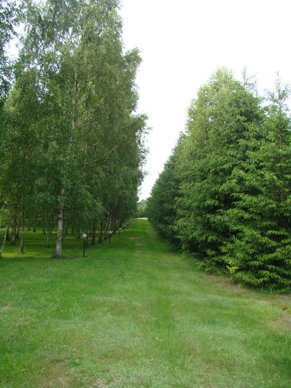 Bobrowa Dolina Bed & Breakfast Ryn  Exterior photo